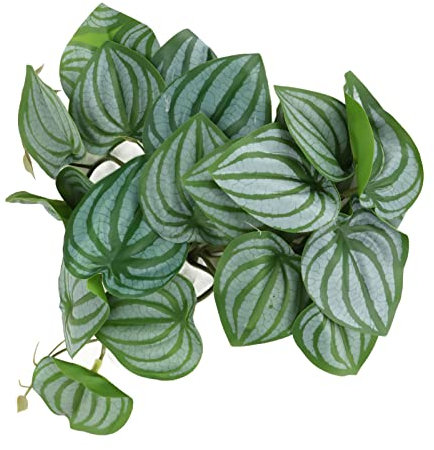 Joyzan Décoration De Plantes De Reptiles, Fausses Feuilles De Simulation De Reptiles 9,8 Pouces, Vignes De Reptiles Décoration D'aquarium De Simulation avec Ventouse Puissante en Plastique