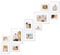 Velista 11 Piece Stair Picture Frame Set for Wall – Shadow Box Stairwell Gallery Wall Frame Set -Stairway Décor for Walls - Ladder Picture Frames 4x6, 5x7, and 8x10 in - Staircase Wall Décor (White)