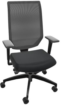 Dauphin Shape Mesh Netzrückenstuhl, Syncro-Tension, mit stufenlos Einstellbarer Mechanik und arretierbarer Synchronbewegung (Schwarz (077.033))