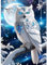 Eule Diamant Painting Bilder für Erwachsene,Mond Diamond Painting Set, DIY Diamond Painting Bilder, Runde Steine Diamant Painting für Zuhause Dekor 30x40 cm
