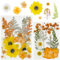 Cayway 40 Pz Foglie Pressate Naturali per Resina, Arancio Naturali Pressati Fiori Pressati Secchi, Fiori Secchi Veri Pressati Fiori per Scrapbooking, Gioielli in Resina Epossidica