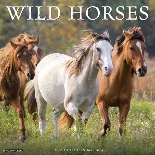 Wild Horses 2026 12 X 12 Wall Calendar