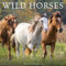 Wild Horses 2026 12 X 12 Wall Calendar