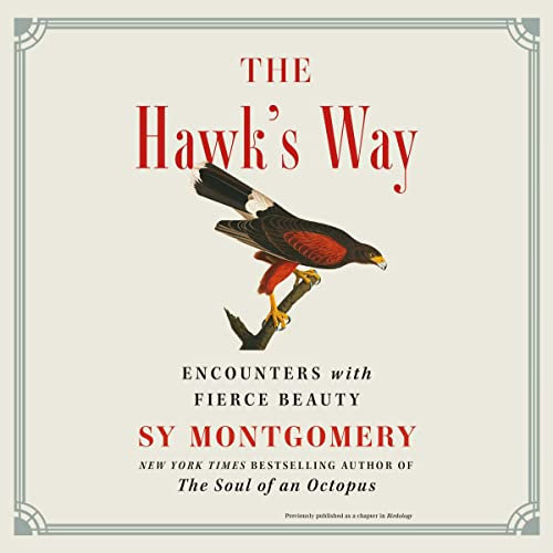 The Hawk's Way: Encounters With Fierce Beauty