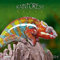 Rainforest Alive 2024: Kalender 2024 (Wonderful World)