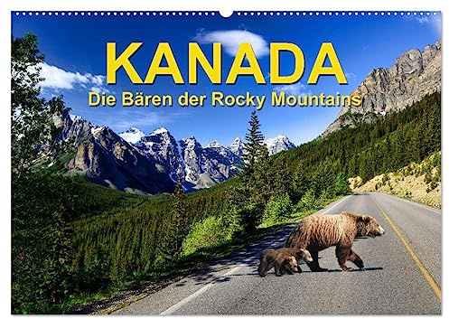 KANADA - Die Bären der Rocky Mountains (Wandkalender 2026 DIN A2 quer), CALVENDO Monatskalender: Unser Kalender über die Kanadischen Bären zeigt die ... seiner natürlichen Umgebung. (CALVENDO Natur)