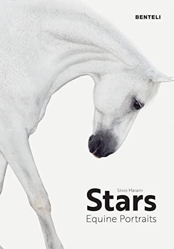 Stars: Equine Portraits