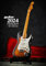 guitar Fender Kalender 2024: Fender – der Kalender 2024
