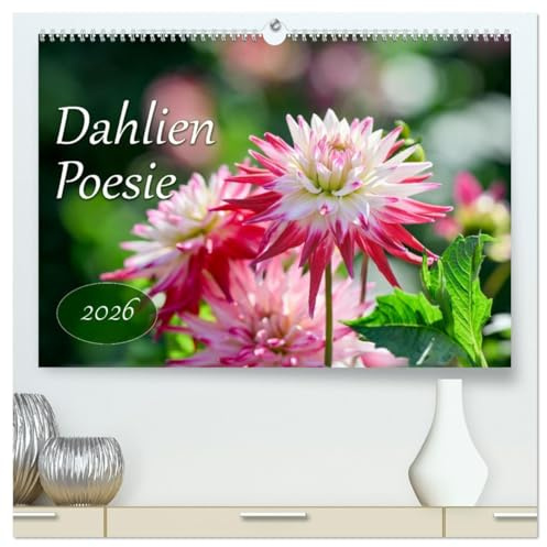Dahlien Poesie (hochwertiger Premium Wandkalender 2026 DIN A2 quer), Kunstdruck in Hochglanz: Dahlien im Sonnenlicht, Liebespoesie. (CALVENDO Natur)