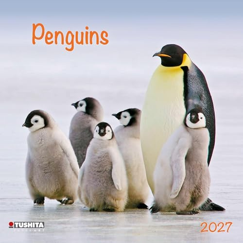 Penguins 2027: Kalender 2027 (Wonderful World)