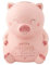 Mr. Wonderful WOA10323ES Hucha Cerdito para Todo lo Bonito que nos Espera Rosa