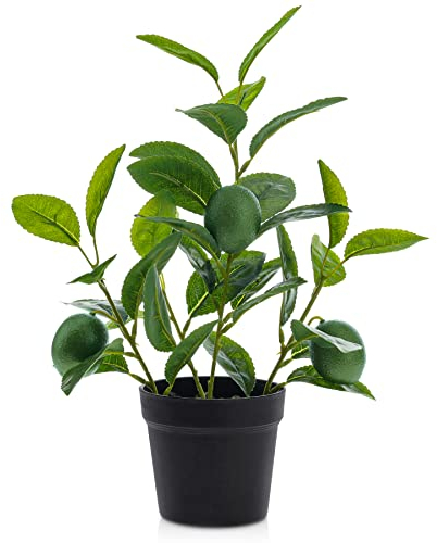 Woration Gefälschte Eingetopft Pflanzen 35cm Künstliche Zitronen Zitrusfrüchte Baum mit Schwarz Topf Faux Grünzeug Limetten Früchte Hochzeit Zuhause Tisch Schreibtisch Dekoration