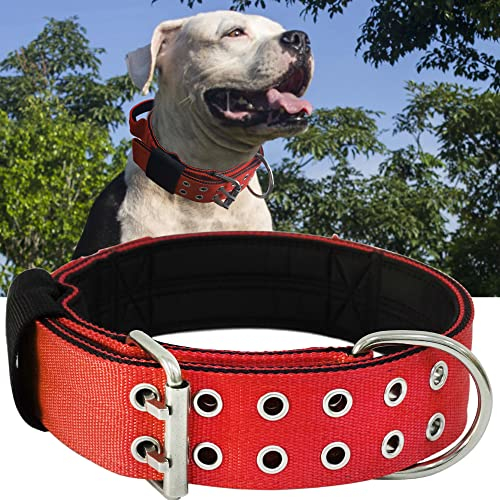 Hundehalsband für Große Hunde - 5 cm Breites Halsband mit Griff für Extragroße Hunderassen, schwerlast, Weich Gepolstertes Neopren Nylon Hunde Halsband für Grosse Hunde Big Dog Collar 56-66cm?Rot