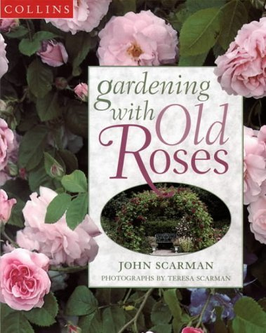 Gardening With Old Roses