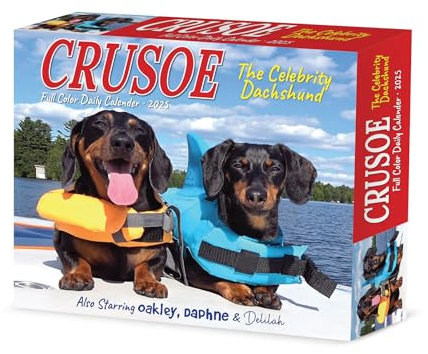 Crusoe the Celebrity Dachshund 2025 Box