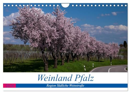 Weinland Pfalz - Region Südliche Weinstraße (Wandkalender 2026 DIN A4 quer), CALVENDO Monatskalender: Die Pfalz, meine persönlichen Eindrücke (CALVENDO Orte)