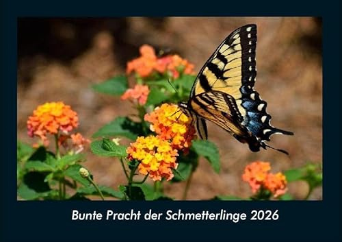 Bunte Pracht der Schmetterlinge 2026 Fotokalender DIN A4: Monatskalender mit Bild-Motiven von Haustieren, Bauernhof, wilden Tieren und Raubtieren