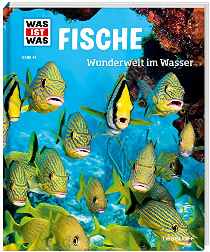 WAS IST WAS Band 41 Fische. Wunderwelt im Wasser (WAS IST WAS Sachbuch, Band 41)