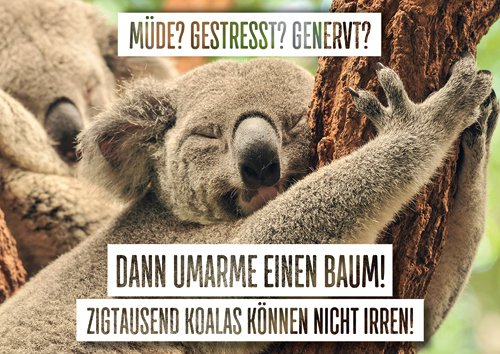 modern times Postkarte LUSTIG - Motiv: UMARME EINEN BAUM!, Anlass: Fun Tiere, Künstler/Verlag: ZWEITGEIST Foto: Fotolia / daphot75, Größe: A6