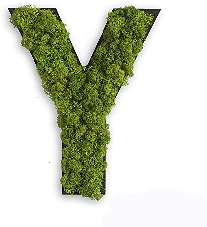 styleGREEN Piktogramm: Buchstabe Y Islandmoos