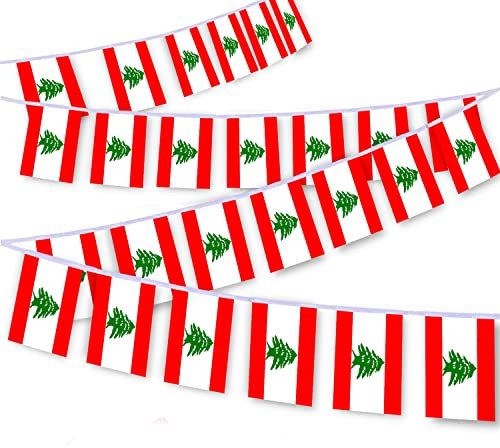 Lot de 30 guirlandes de drapeaux libanais de 9 m, bannière de décoration pour extérieur, intérieur, patio, cour