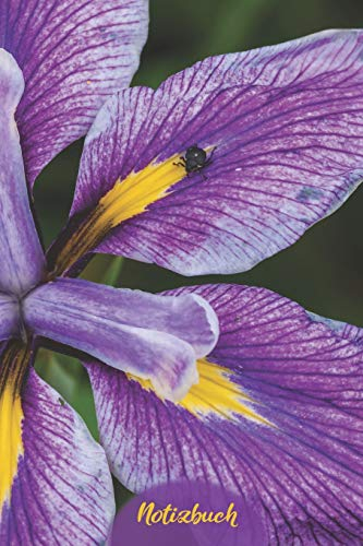 Notizbuch: Blanko A5 Notizbuch für alle die die Iris lieben | Softcover