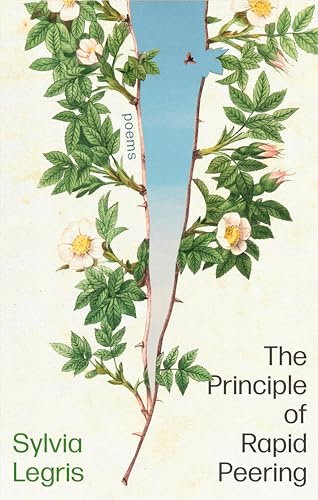 The Principle of Rapid Peering