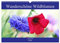 Wunderschöne Wildblumen (Wandkalender 2024 DIN A3 quer), CALVENDO Monatskalender: Blühendes für einen natürlichen Garten, als Nahrungsquelle für Bienen und Co. (CALVENDO Natur)