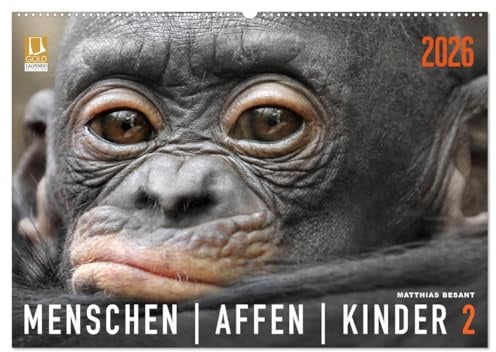 MENSCHENAFFENKINDER 2 (Wandkalender 2026 DIN A2 quer), CALVENDO Monatskalender: Neue Porträts von Primatenkindern (CALVENDO Tiere)