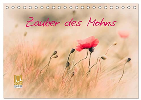 Zauber des Mohns (Tischkalender 2026 DIN A5 quer), CALVENDO Monatskalender: Motivkalender zum Thema Mohnblumen (CALVENDO Natur)