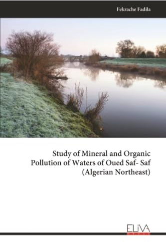 Study of Mineral and Organic Pollution of Waters of Oued Saf- Saf (Algerian Northeast)