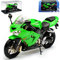 Atlas Kawasaki Ninja ZX-10R Grün mit Sockel und Vitrine 1/24 Modell Motorrad mit individiuellem Wunschkennzeichen