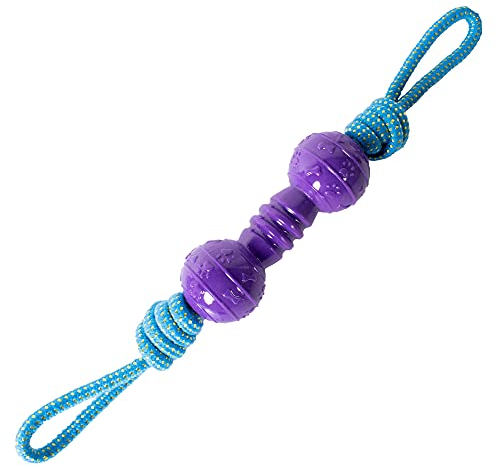 Ministry of Pet M.O.P. Rope Dog Toy - Durable Tug of War & Training Toy for Medium & Large Dogs, Purple/Blue