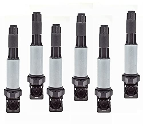 Zündspule Zündspulen 12131712219, für BMW E46 E53 E60 E70 E71 E90 M3 X3 X5 Z4
