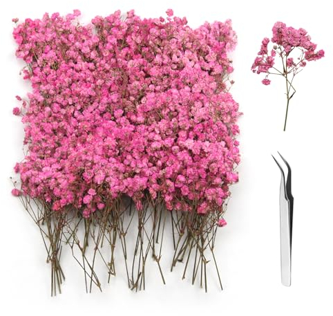 GZGXKJ 120pcs Gypsophiles Roses Fleur Sechees Decoration Naturelles Petites Fleurs Séchées avec Pince pour Epiler pour Bougies, Cadres Photo et Loisirs Créatifs Résine