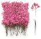 GZGXKJ 120pz Fiori Secchi Gypsophila Essiccata Fiori Secchi Decorativi Naturali Fiori Secchi Piccoli con Pinzette per Manicure Custodia per Telefono Cornice per Foto fai da te