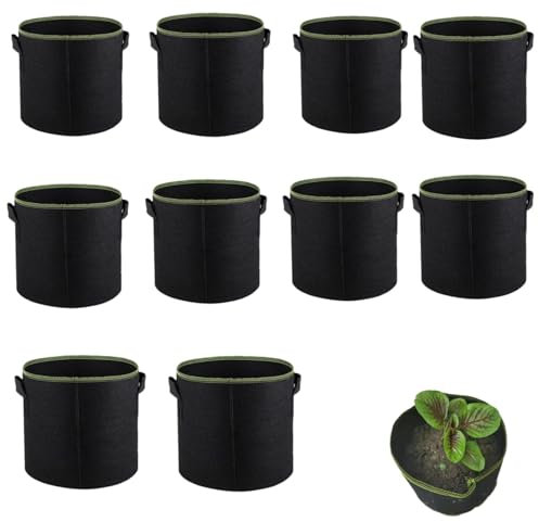 Ahhzyys Pack of 10 Fabric Pots 10/20/25 L, Plant Bag with Handles, Reusable Fabric Pot (10 L)