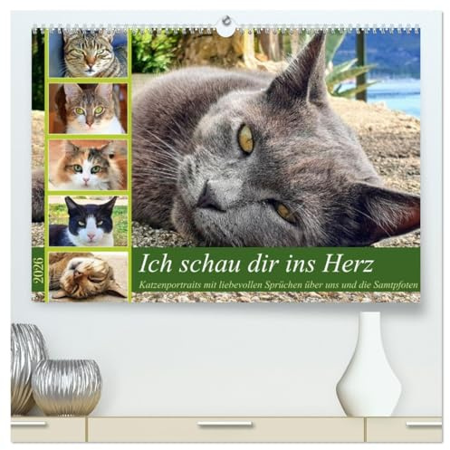 Ich schau dir ins Herz (hochwertiger Premium Wandkalender 2026 DIN A2 quer), Kunstdruck in Hochglanz: Katzenportraits mit Zitaten über die Beziehung zwischen Tier und Mensch (CALVENDO Tiere)