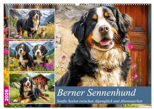 Berner Sennenhund. Sanfte Seelen zwischen Alpenglück und Abenteuerlust (Wandkalender 2026 DIN A2 quer), CALVENDO Monatskalender: Diese Bilder zeigen ... in malerischer Alpenkulisse (CALVENDO Tiere)
