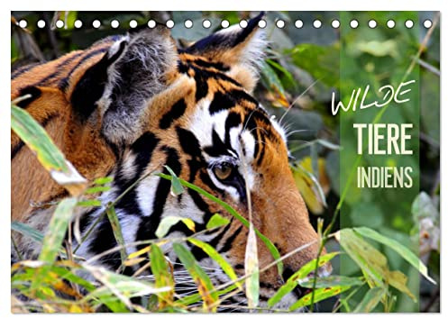Wilde Tiere Indiens (Tischkalender 2026 DIN A5 quer), CALVENDO Monatskalender: Bedrohte Tierarten in Indien. (CALVENDO Tiere)