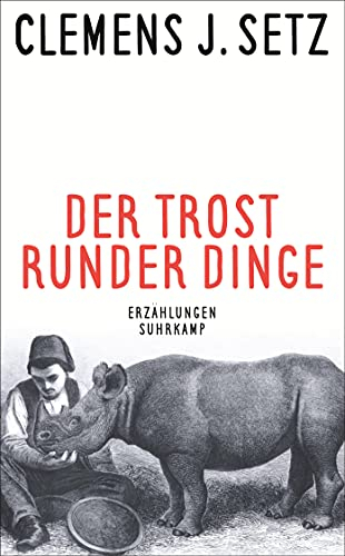 Der Trost runder Dinge: Erzählungen (suhrkamp taschenbuch)