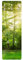 Bilderwelten Garderobe - Spaziergang im Wald, Größe HxB:119cm x 39cm