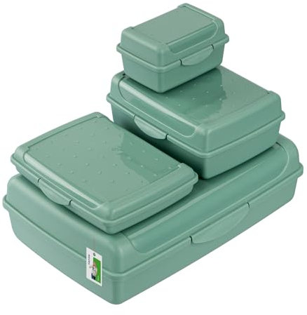 Lunchbox SET Brotdose Erwachsene Kinder - Satz mit 4 Behältern - BPA Frei Vesperbox Frühstücksbox Brotbox 0,35l, 0,5l, 1,0l, 3,7l, Grün