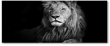 Tulup Impression sur Verre 125x50 cm Image Tableau Photo décorative panoramique pour la Cuisine et Le Salon - Animaux - Lion - Noir et Blanc