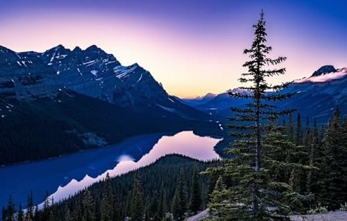 1000 Pieces Luminous 3D Jigsaw Puzzle City Cathedral Tower Fountain Architecture Istanbul Turkey Hagia Sophia 75 * 50cmD8T92K