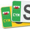 Premium 3M Vinyl Stickers for UK Car Number Plates Decorative Purposes – Wales (Red Dragon) – Bubble-Free & Easy Application – Set of 2 (Front & Rear) (CYM, Green)