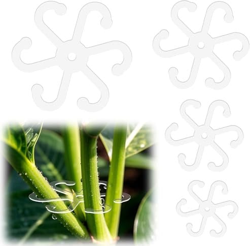 BOXOB 4 Stück Pflanzenstammstütze, Pflanzenstammhalter mit Löchern Acryl Pflanzenspalier Monstera-Pflanzenstütze Blatthalter und Klettergestell für Drinnen Zimmerpflanzen (4 Größen, Transparent)