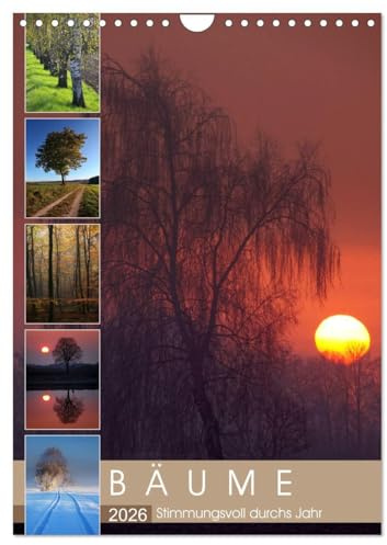 Bäume - Stimmungsvoll durchs Jahr (Wandkalender 2026 DIN A4 hoch), CALVENDO Monatskalender: 12 stimmungsvolle Portraits von Bäumen begleiten Sie durchs Jahr (CALVENDO Natur)