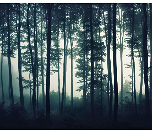 decomonkey Fototapete Wald 400x280 cm XL Tapete Wandbild Wandbild Bild Fototapete Tapeten Wandtapete Wandtapete Landschaft Baum Natur