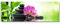 Paul Sinus Art Leinwandbilder | Bilder Leinwand 120x40cm pinke Orchideen schwarze Steine und Bambus auf dem Wasser